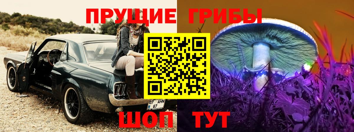 Псилоцибиновые грибы Psilocybe Мценск