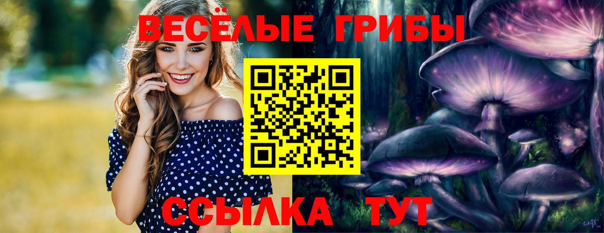 Галлюциногенные грибы прущие грибы  Галлюциногенные грибы Psilocybe  Вход с VPN  продажа наркотиков  Мценск 